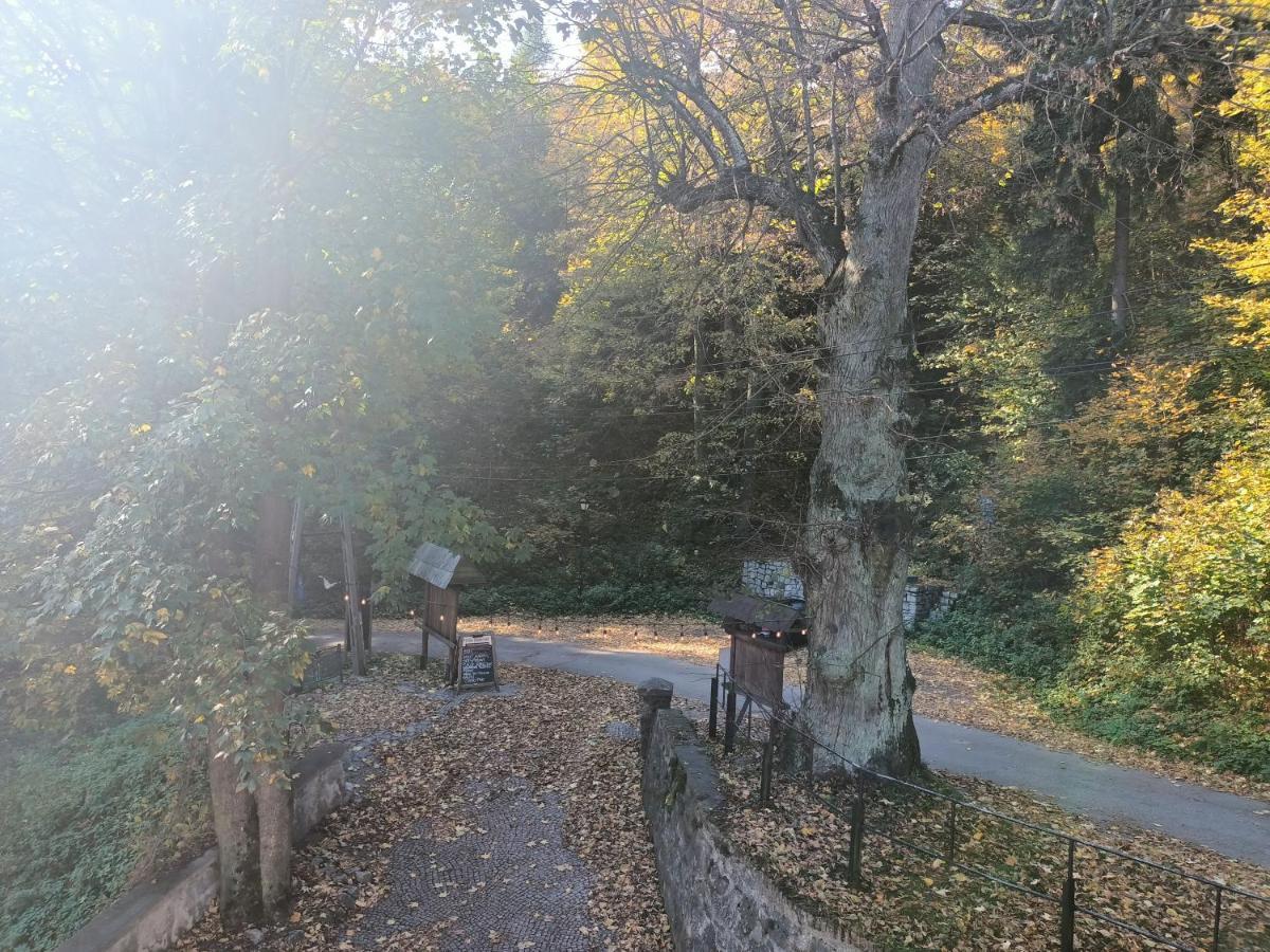 Villa Hubertus Srebrna Gora Exterior photo